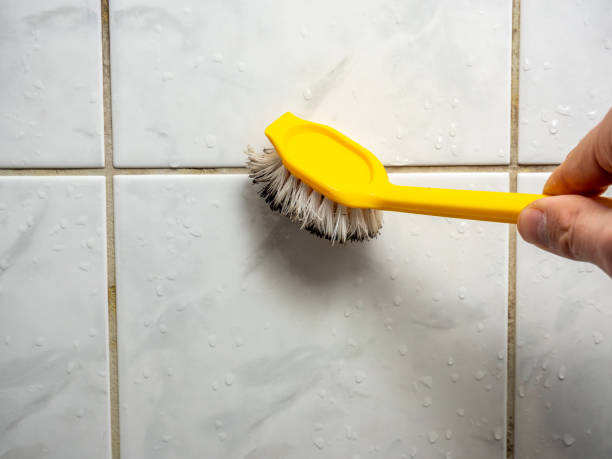 Best Mold Cleaning Services  in Rock Hill, SC