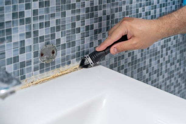 Best Residential Mold Removal  in Rock Hill, SC
