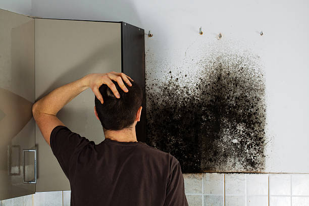 Best Crawl Space Mold Removal  in Rock Hill, SC